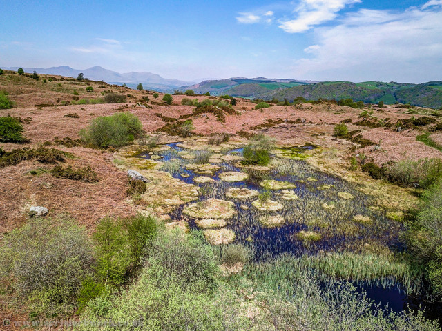 A tarn on Lowick Common.